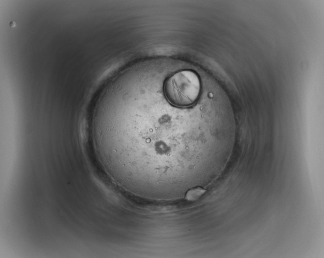X0000115850683200911201614