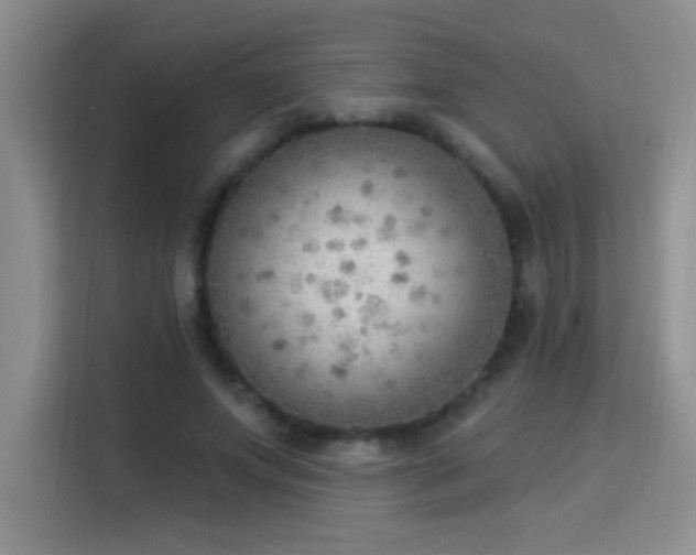 X0000115850687200911201614