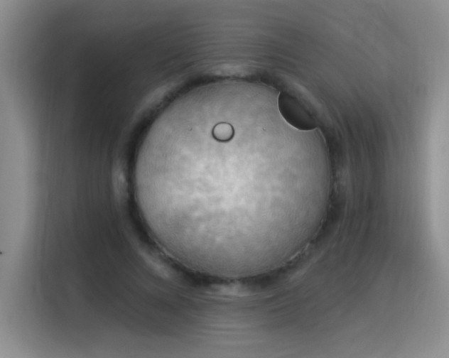X0000115850688200911201614