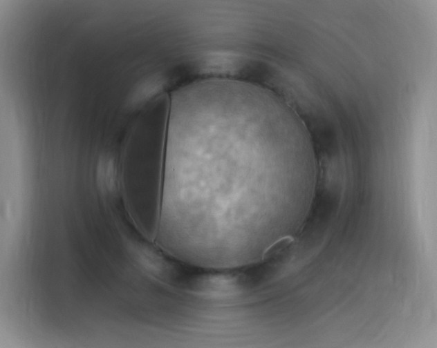 X0000115850692200911201614