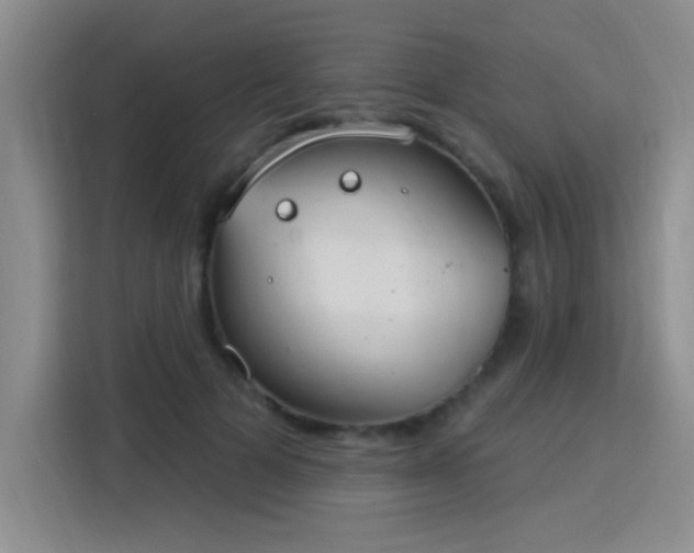 X0000115850697200911201614