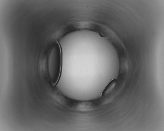 X0000115850700200911201614