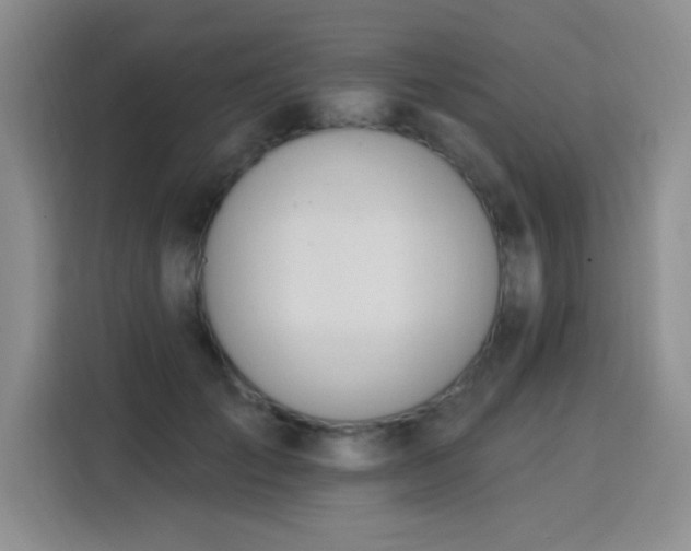 X0000115850701200911201614