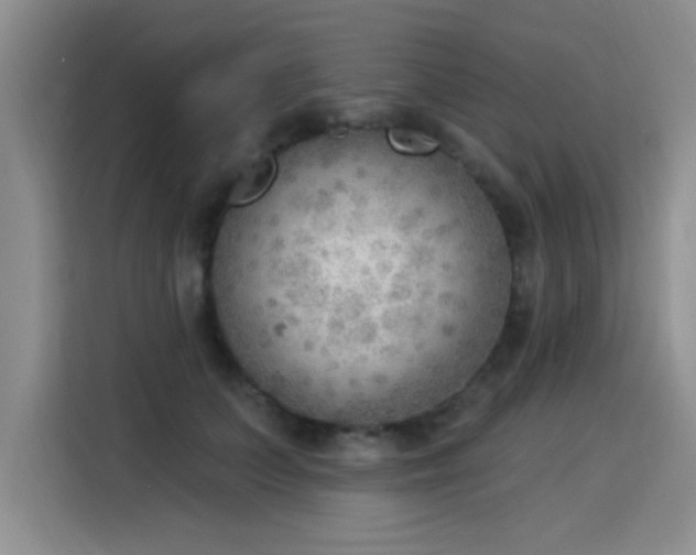 X0000115850703200911201614