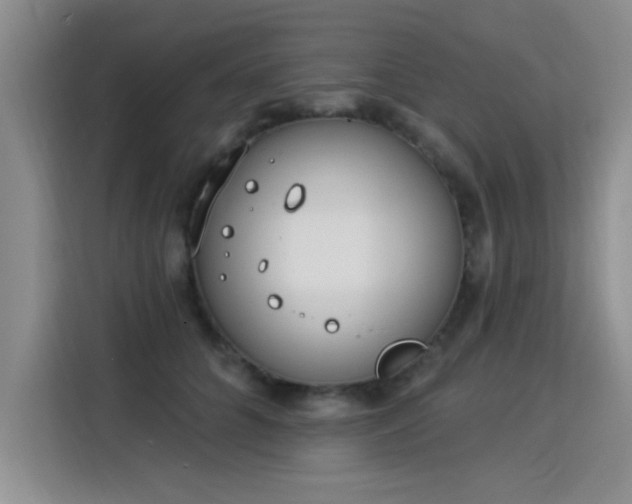 X0000115850704200911201614