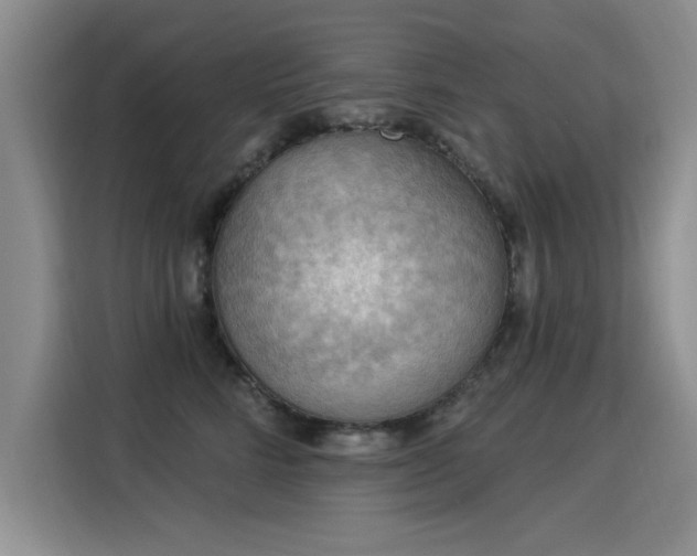 X0000115850712200911201613