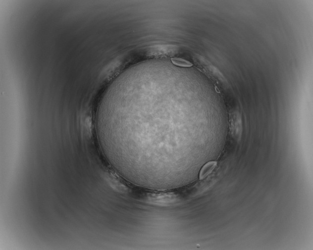 X0000115850716200911201613