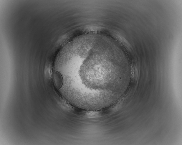 X0000115850718200911201613