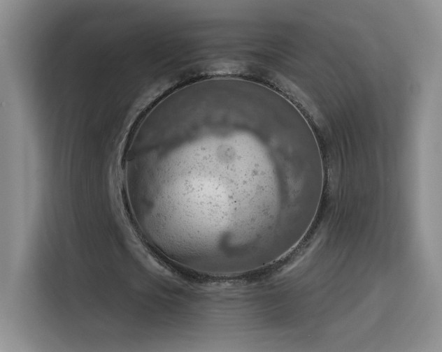 X0000115850721200911201613