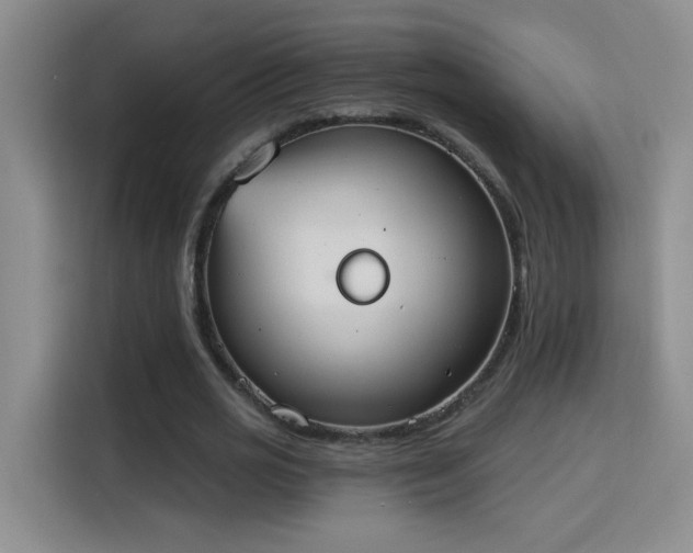 X0000115850725200911201613