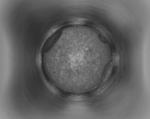 X0000115850726200911201613