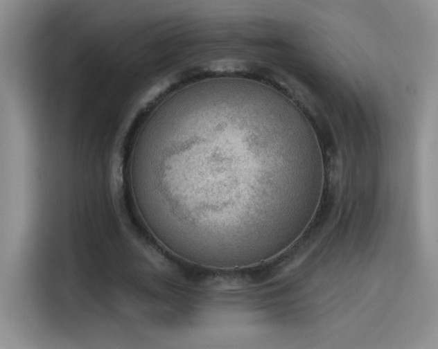 X0000115850727200911201613
