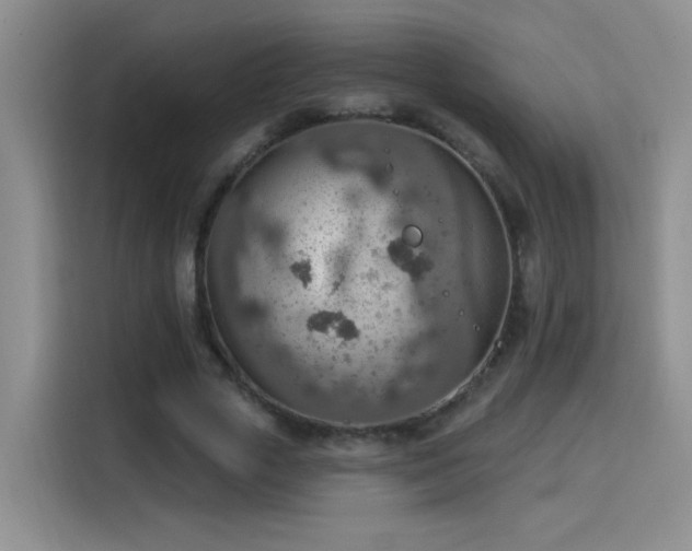 X0000115850729200911201613