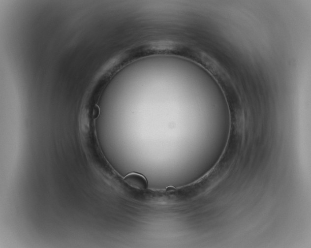 X0000115850731200911201613