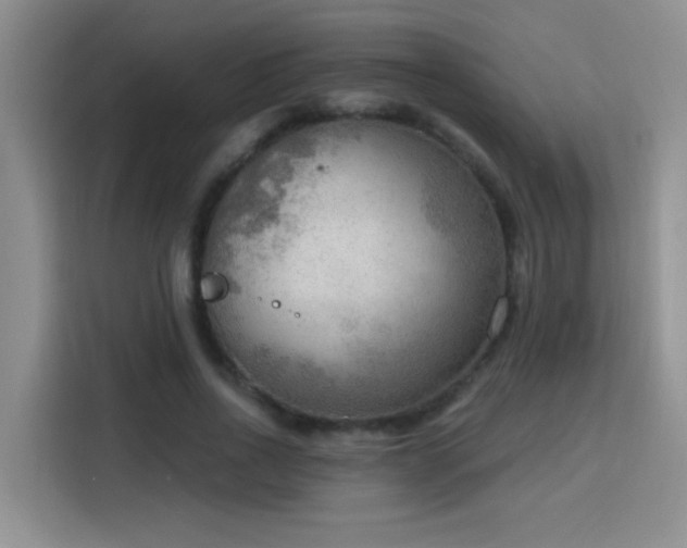X0000115850734200911201613