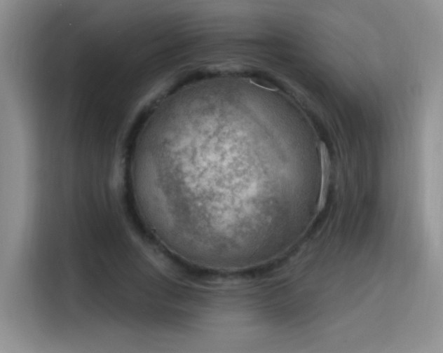 X0000115850735200911201613