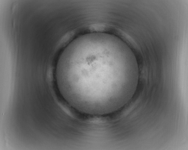 X0000115850738200911201613