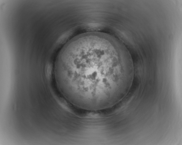 X0000115850742200911201613