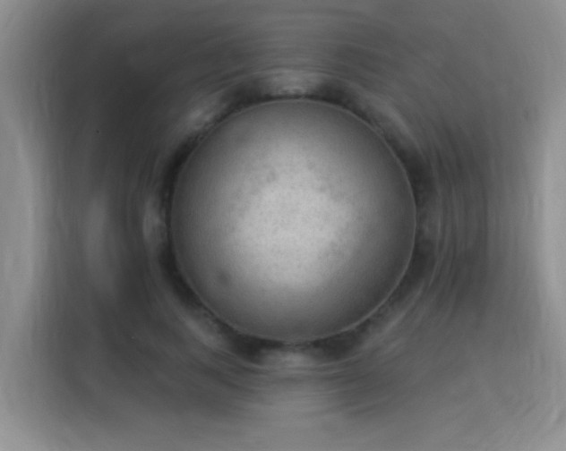 X0000115850743200911201613