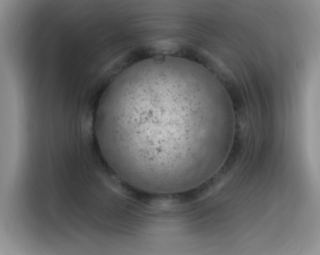 X0000115850745200911201613