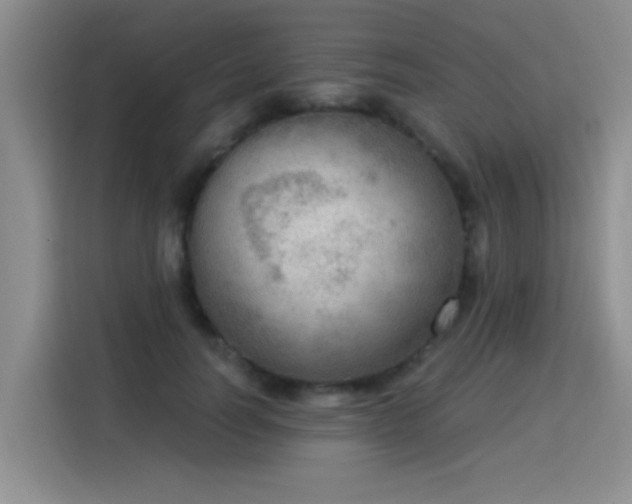 X0000115850746200911201613