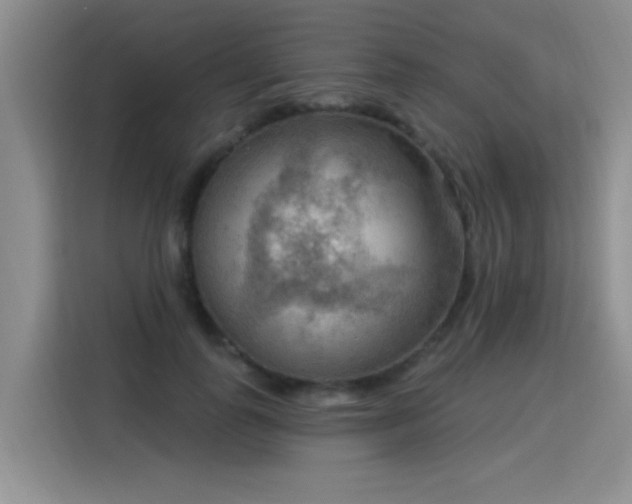 X0000115850747200911201613