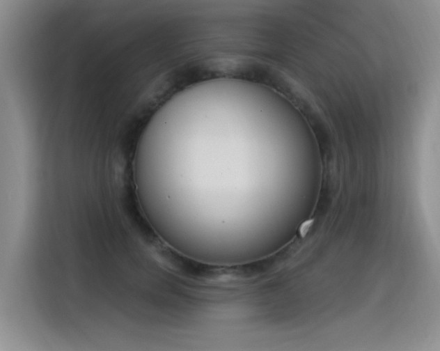 X0000115850750200911201613