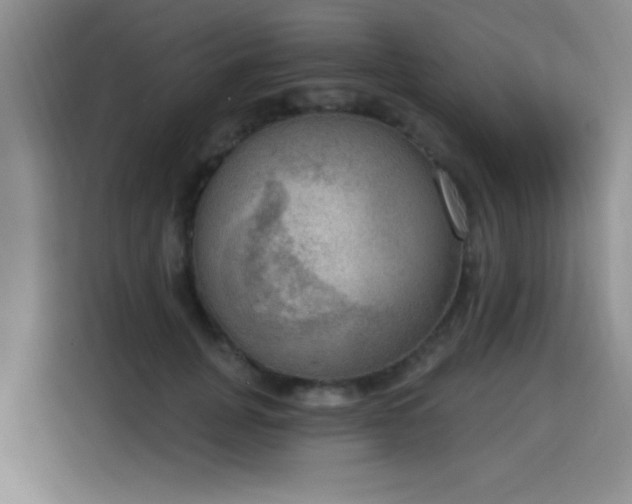 X0000115850751200911201613