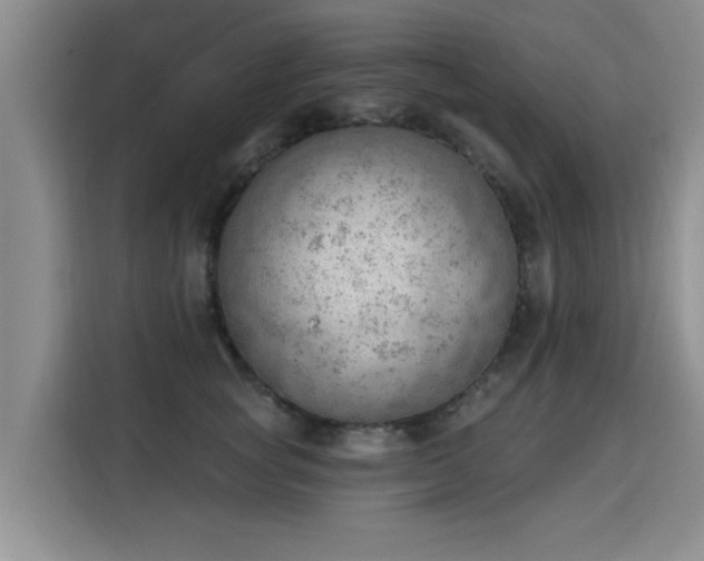 X0000115850757200911201613