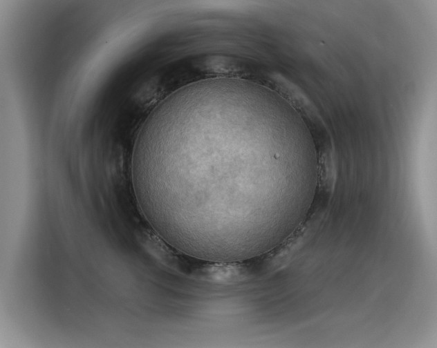 X0000115850762200911201613