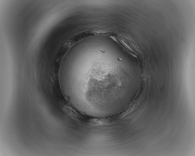 X0000115850763200911201613