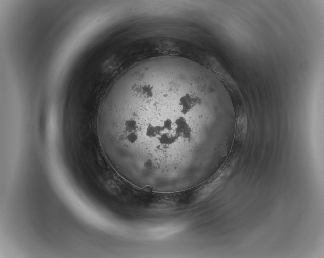 X0000115850765200911201613