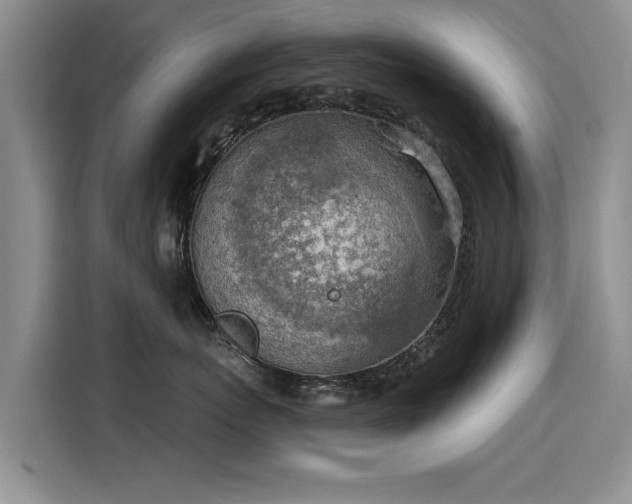 X0000115850767200911201613