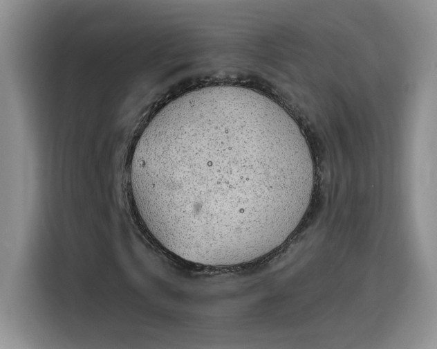 X0000115850769200911201613