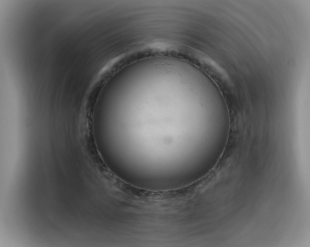 X0000115850776200911201613