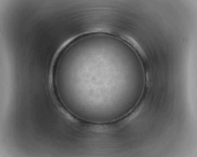 X0000115850780200911201613
