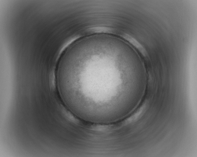X0000115850782200911201613