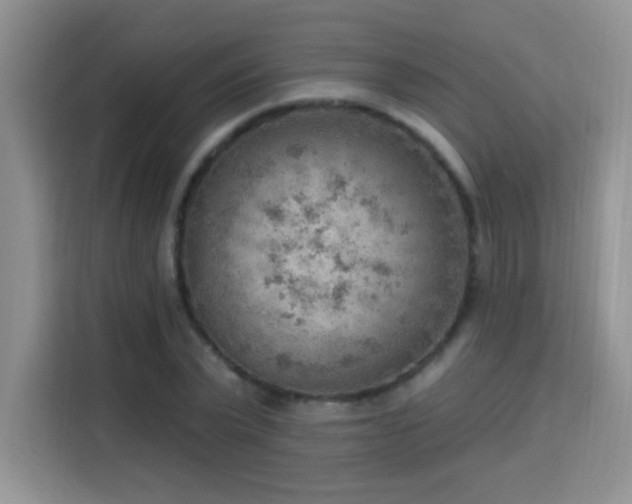 X0000115850783200911201613