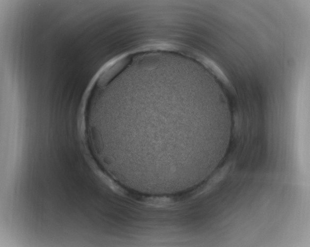 X0000115850784200911201613
