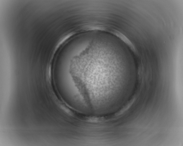X0000115850790200911201612