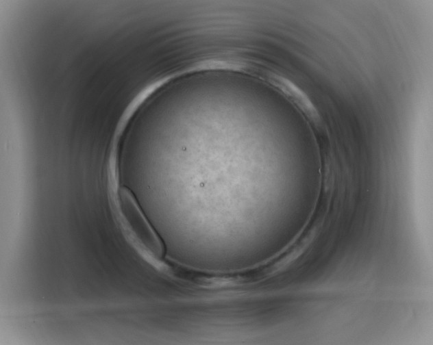 X0000115850796200911201612