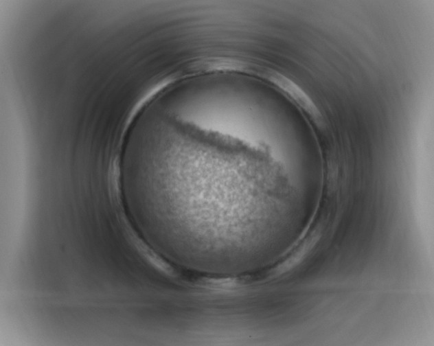X0000115850798200911201612