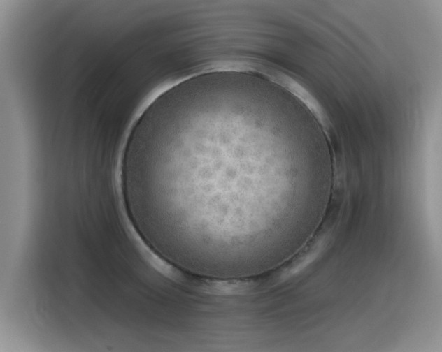 X0000115850803200911201612
