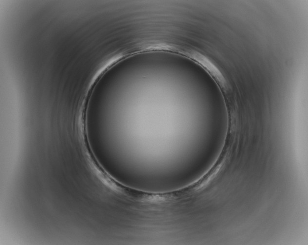 X0000115850806200911201612
