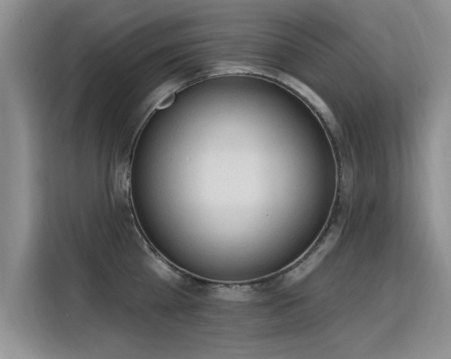 X0000115850809200911201612