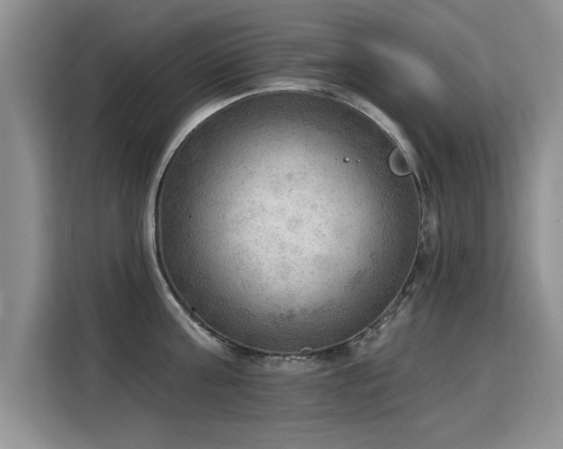 X0000115850811200911201612