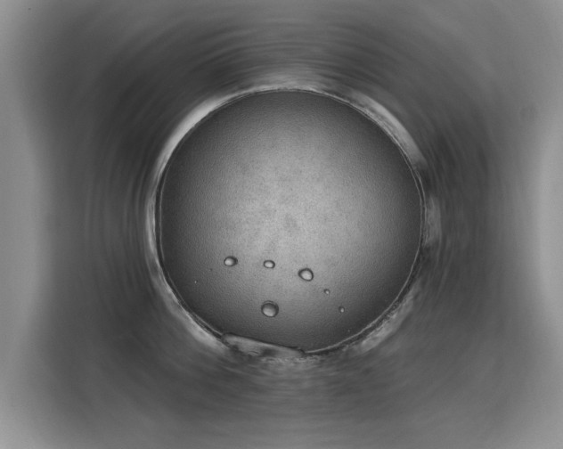 X0000115850812200911201612