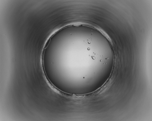 X0000115850813200911201612