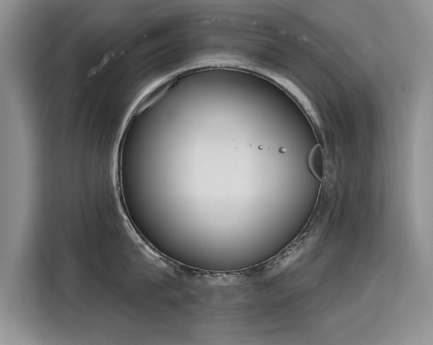 X0000115850815200911201612