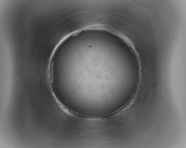 X0000115850816200911201612